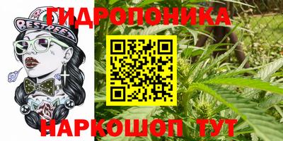 гидропоника Берёзовский