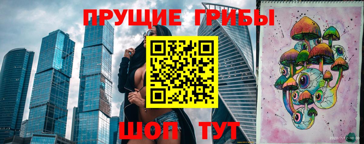 Зерноград  купить  цена  Вход с VPN  Галлюциногенные грибы прущие грибы 